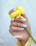 Refill Set Nail Wraps